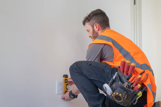 Best Ceiling Fan Installation Electrician  in Haliimaile, HI